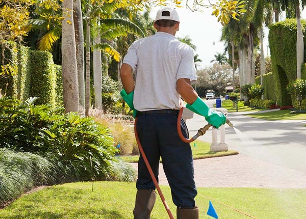 About Ulman MO Pest Control